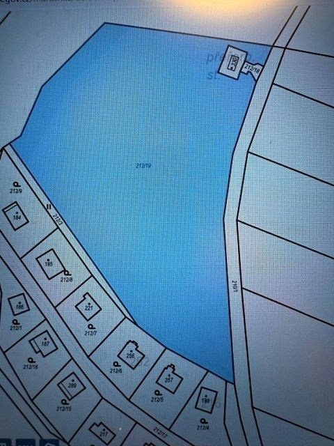 Kostelec u Křížků Zeleň